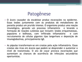 Patogênese
• O ácaro causador da escabiose produz escavações na epiderme.
Essas lesões juntamente com os produtos do metabolismo do
parasita produz um prurido intenso. O organismo produz uma reação
imunológica, gerando um processo inflamatório e levando a
formação de reações cutâneas que incluem: lesões eriquematosas,
papulares e bolhosas, com infiltrado inflamatório e com
recrutamento de células gigantes tipo langerhans e deposição de
imunoglobulinas, principalmente IgE.
• As pápulas transformam-se em crostas pela ação inflamatória. Essas
crostas são ricas em ácaros que podem se desprender e aumentar o
nível de transmissão. O ato de coçar provoca escoriações que
aumentam as chances de ocorrência de infecções secundárias
oportunistas.
 