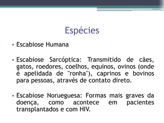 Espécies
• Escabiose Humana
• Escabiose Sarcóptica: Transmitido de cães,
gatos, roedores, coelhos, equinos, ovinos (onde
é apelidada de "ronha"), caprinos e bovinos
para pessoas, através de contato direto.
• Escabiose Norueguesa: Formas mais graves da
doença, como acontece em pacientes
transplantados e com HIV.
 