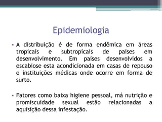 Epidemiologia
• A distribuição é de forma endêmica em áreas
tropicais e subtropicais de países em
desenvolvimento. Em países desenvolvidos a
escabiose esta acondicionada em casas de repouso
e instituições médicas onde ocorre em forma de
surto.
• Fatores como baixa higiene pessoal, má nutrição e
promiscuidade sexual estão relacionadas a
aquisição dessa infestação.
 
