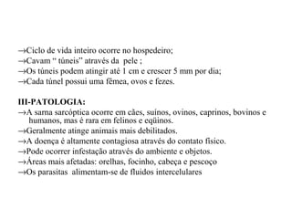 →Ciclo de vida inteiro ocorre no hospedeiro;
→Cavam “ túneis” através da pele ;
→Os túneis podem atingir até 1 cm e crescer 5 mm por dia;
→Cada túnel possui uma fêmea, ovos e fezes.

III-PATOLOGIA:
→A sarna sarcóptica ocorre em cães, suínos, ovinos, caprinos, bovinos e
   humanos, mas é rara em felinos e eqüinos.
→Geralmente atinge animais mais debilitados.
→A doença é altamente contagiosa através do contato físico.
→Pode ocorrer infestação através do ambiente e objetos.
→Áreas mais afetadas: orelhas, focinho, cabeça e pescoço
→Os parasitas alimentam-se de fluidos intercelulares
 