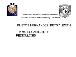 Universidad Nacional Autónoma de México
   Escuela Nacional de Enfermería y Obstetricia



BUSTOS HERNANDEZ BETSY LIZETH

 Tema: ESCABIOSIS Y
PEDICULOSIS
 