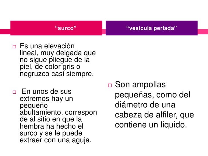 El engrosamiento del miembro sin operación