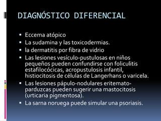 DIAGNÓSTICO DIFERENCIAL
 Eccema atópico
 La sudamina y las toxicodermias.
 la dermatitis por fibra de vidrio
 Las lesiones vesículo-pustulosas en niños
pequeños pueden confundirse con foliculitis
estafilocócicas, acropustulosis infantil,
histiocitosis de células de Langerhans o varicela.
 Las lesiones pápulo-nodulares eritemato-
parduzcas pueden sugerir una mastocitosis
(urticaria pigmentosa).
 La sarna noruega puede simular una psoriasis.
 