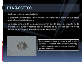 Suele ser suficiente con la clínica
El diagnóstico de certeza se basa en la visualización del ácaro, de sus heces
(escíbalos) y/o de los huevos.
La biopsia cutánea de las pápulas acarinas puede poner de manifiesto la
presencia del túnel subcórneo con el parásito en su interior, así como una
dermatitis espongiótica con abundantes eosinófilos.
DIAGNÓSTICO
Depositar una gota de aceite en la piel, rascar
la pápula acarina con un bisturí del número 15
y realizar una extensión en un portaobjetos
(prueba de Müller)
 