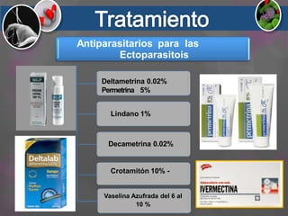 Antiparasitarios para las
Ectoparasitois
Deltametrina 0.02%
Permetrina 5%
Lindano 1%
Decametrina 0.02%
Crotamitón 10% -
Vaselina Azufrada del 6 al
10 %
 