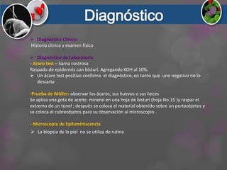  Diagnóstico Clínico:
Historia clínica y examen físico
 Diagnóstico de Laboratorio
- Acaro test – Sarna costrosa
Raspado de epidermis con bisturí. Agregando KOH al 10%.
 Un ácaro test positivo confirma el diagnóstico, en tanto que uno negativo no lo
descarta
-Prueba de Müller: observar los ácaros, sus huevos o sus heces
Se aplica una gota de aceite mineral en una hoja de bisturí (hoja No.15 )y raspar el
extremo de un túnel ; después se coloca el material obtenido sobre un portaobjetos y
se coloca el cubreobjetos para su observación al microscopio .
- Microscopía de Epiluminiscencia
 La biopsia de la piel no se utiliza de rutina
 