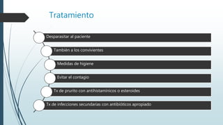 Tratamiento
Desparasitar al paciente
También a los convivientes
Medidas de higiene
Evitar el contagio
Tx de prurito con antihistamínicos o esteroides
Tx de infecciones secundarias con antibióticos apropiado
 