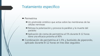 Tratamiento específico
 Permetrina
Un piretroide sintético que actúa sobre las membranas de las
células nerviosas
Retrasa la polarización y provoca la parálisis y la muerte del
parásito
Aplicación de crema de permetrina al 5% durante 8-12 horas
tiene una eficacia próxima al 90%
 Combinación de permetrina al 1.5% y butóxido de piperonilo,
aplicado durante 8-12 horas en tres días seguidos
 