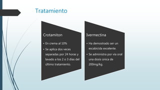 Tratamiento
Crotamiton
• En crema al 10%
• Se aplica dos veces
separadas por 24 horas y
lavado a los 2 o 3 días del
último tratamiento.
Ivermectina
• Ha demostrado ser un
escabicida excelente.
• Se administra por vía oral
una dosis única de
200mg/kg.
 