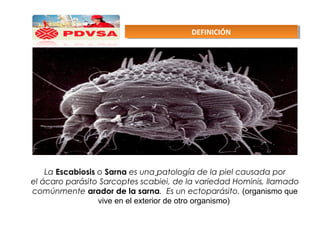 La Escabiosis o Sarna es una patología de la piel causada por
el ácaro parásito Sarcoptes scabiei, de la variedad Hominis, llamado
comúnmente arador de la sarna. Es un ectoparásito. (organismo que
vive en el exterior de otro organismo)
DEFINICIÓNDEFINICIÓN
 