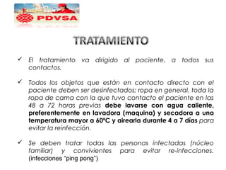  El tratamiento va dirigido al paciente, a todos sus
contactos.
 Todos los objetos que están en contacto directo con el
paciente deben ser desinfectados; ropa en general, toda la
ropa de cama con la que tuvo contacto el paciente en las
48 a 72 horas previas debe lavarse con agua caliente,
preferentemente en lavadora (maquina) y secadora a una
temperatura mayor a 60ªC y airearla durante 4 a 7 días para
evitar la reinfección.
 Se deben tratar todas las personas infectadas (núcleo
familiar) y convivientes para evitar re-infecciones.
(infecciones “ping pong”)
 