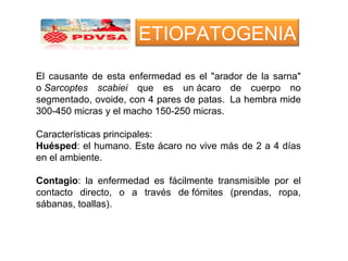 El causante de esta enfermedad es el "arador de la sarna"
o Sarcoptes scabiei que es un ácaro de cuerpo no
segmentado, ovoide, con 4 pares de patas. La hembra mide
300-450 micras y el macho 150-250 micras.
Características principales:
Huésped: el humano. Este ácaro no vive más de 2 a 4 días
en el ambiente.
Contagio: la enfermedad es fácilmente transmisible por el
contacto directo, o a través de fómites (prendas, ropa,
sábanas, toallas).
ETIOPATOGENIA
 