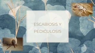 ESCABIOSIS Y
PEDICULOSIS
 