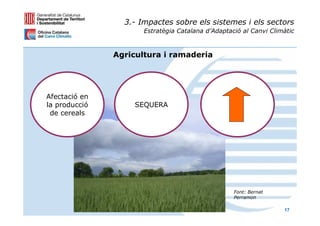 3.- Impactes sobre els sistemes i els sectors
                      Estratègia Catalana d’Adaptació al Canvi Climàtic



               Agricultura i ramaderia




Afectació en
la producció       SEQUERA
 de cereals




                                                   Font: Bernat
                                                   Perramon

                                                                   17
 