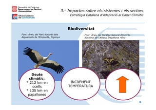 3.- Impactes sobre els sistemes i els sectors
                                         Estratègia Catalana d’Adaptació al Canvi Climàtic



                                       Biodiversitat
Font: Arxiu del Parc Natural dels                 Font: Arxiu del Paratge Natural d'Interès
Aiguamolls de l'Empordà, Cigonya                  Nacional de l'Albera, Papallona reina




       Deute
     climàtic:
    * 212 km en                          INCREMENT
       ocells                           TEMPERATURA
    * 135 km en
     papallones

                                                                                              18
 