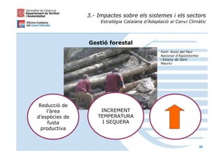 3.- Impactes sobre els sistemes i els sectors
                     Estratègia Catalana d’Adaptació al Canvi Climàtic




                Gestió forestal
                                                Font: Arxiu del Parc
                                                Nacional d'Aigüestortes
                                                i Estany de Sant
                                                Maurici




 Reducció de
    l’àrea           INCREMENT
d’espècies de       TEMPERATURA
     fusta           I SEQUERA
  productiva


                                                                          20
 