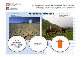 3.- Impactes sobre els sistemes i els sectors
                            Estratègia Catalana d’Adaptació al Canvi Climàtic


Font: Mariano        Agricultura i ramaderia             Font:Xavier Borràs,
Cebolla,                                                 cavalls i eugues a
arrossars assecats                                       l'Alt Àneu




     -63%
   producció
                         SEQUERA
 olives (2011-
     2012)


                                                                               17
 