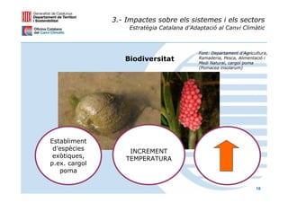 3.- Impactes sobre els sistemes i els sectors
                    Estratègia Catalana d’Adaptació al Canvi Climàtic



                                             Font: Departament d’Agricultura,
                  Biodiversitat              Ramaderia, Pesca, Alimentació i
                                             Medi Natural, cargol poma
                                             (Pomacea insolarum)




Establiment
 d’espècies         INCREMENT
 exòtiques,        TEMPERATURA
p.ex. cargol
   poma

                                                                       18
 