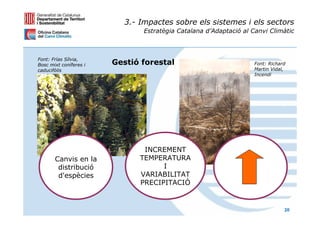 3.- Impactes sobre els sistemes i els sectors
                               Estratègia Catalana d’Adaptació al Canvi Climàtic



Font: Frías Sílvia,
Bosc mixt coníferes i   Gestió forestal                            Font: Richard
caducifòlis                                                        Martin Vidal,
                                                                   Incendi




                               INCREMENT
       Canvis en la           TEMPERATURA
        distribució                 I
        d'espècies            VARIABILITAT
                              PRECIPITACIÓ


                                                                               20
 