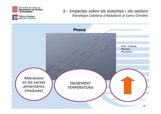 3.- Impactes sobre els sistemes i els sectors
                     Estratègia Catalana d’Adaptació al Canvi Climàtic



                     Pesca



                                                    Font: Cebolla,
                                                    Mariano
                                                    Muscleres




 Alteracions
en les xarxes      INCREMENT
alimentàries      TEMPERATURA
 (meduses)



                                                                     23
 