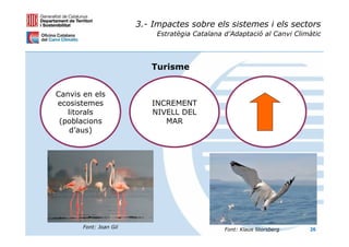 3.- Impactes sobre els sistemes i els sectors
                             Estratègia Catalana d’Adaptació al Canvi Climàtic




                           Turisme


Canvis en els
ecosistemes                 INCREMENT
   litorals                 NIVELL DEL
 (poblacions                   MAR
    d’aus)




       Font: Joan Gil                            Font: Klaus Storsberg    26
 