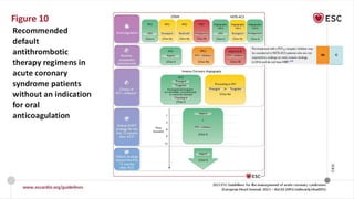 ESC ACS Guideline 2023 management of Acs.pptx