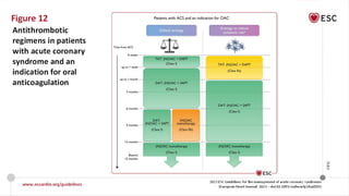 ESC ACS Guideline 2023 management of Acs.pptx