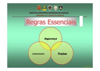 MANOBRAS DE ESCADAS DE GANCHOS




                                 Hugo Santos – CB Estoril
                                    Outubro - 2008
 