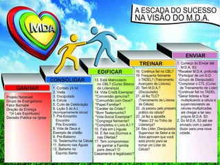 Escada do sucesso na Visão do MDA