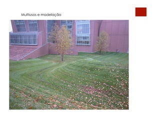 Multiusos e modelação
 