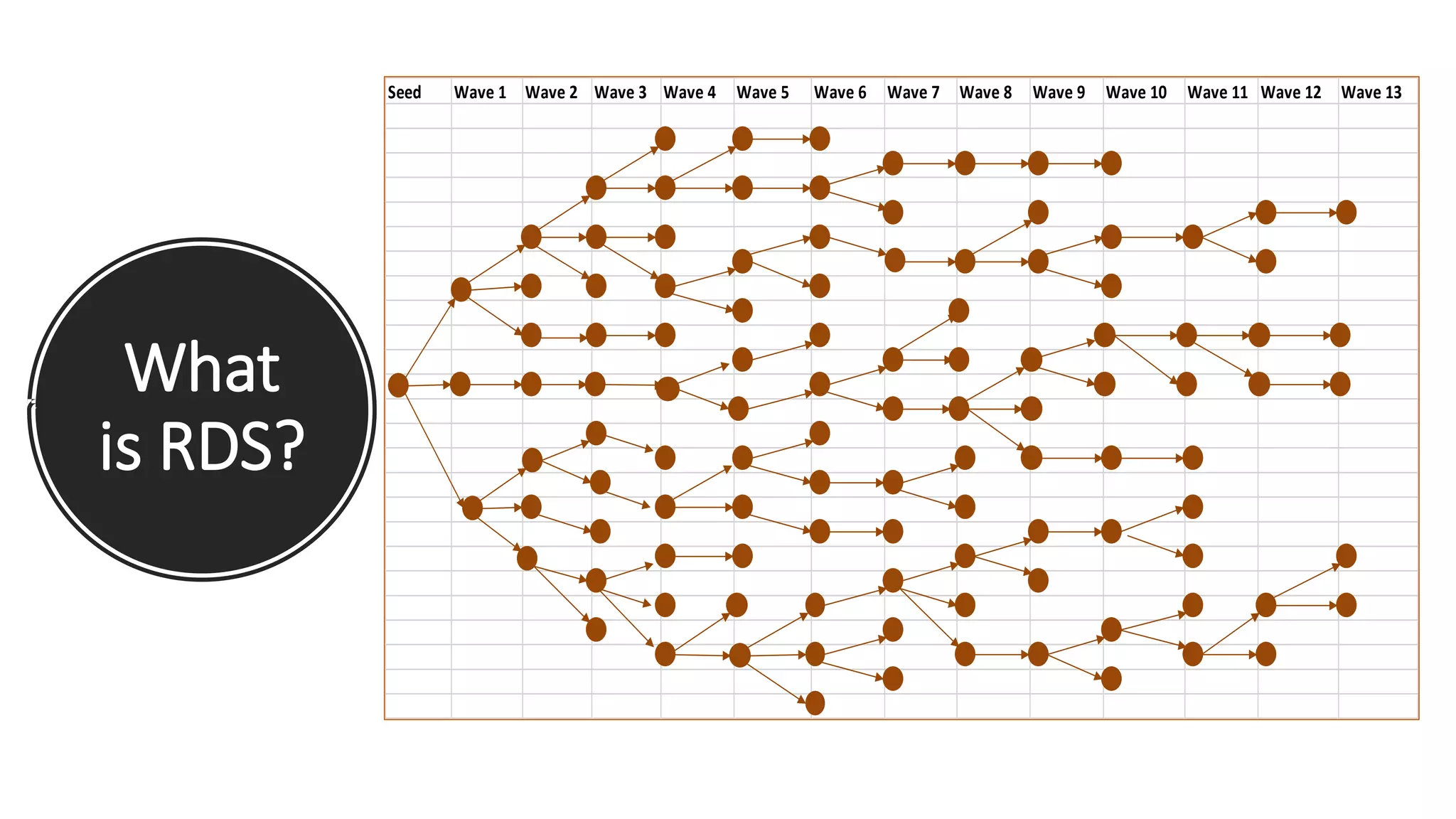 What
is RDS?
Seed Wave 1 Wave 2 Wave 3 Wave 4 Wave 5 Wave 6 Wave 7 Wave 8 Wave 9 Wave 10 Wave 11 Wave 12 Wave 13
 