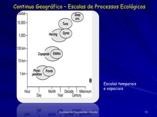 Continuo Geográfico – Escalas de Processos Ecológicos

Whales

Escalas temporais
e espaciais

Ecologia de Populações - Escala

13

 