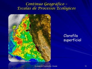 Continuo Geográfico –
Escalas de Processos Ecológicos
Whales

Clorofila
superficial

Ecologia de Populações - Escala

14

 