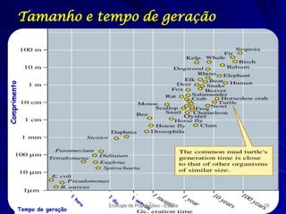 Comprimento

Tamanho e tempo de geração

Tempo de geração

Ecologia de Populações - Escala

16

 