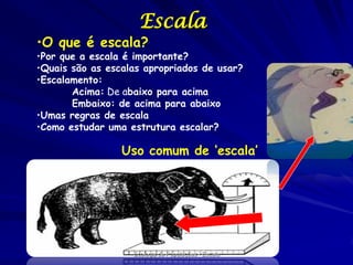 Escala

•O que é escala?

•Por que a escala é importante?
•Quais são as escalas apropriados de usar?
•Escalamento:
Acima: De abaixo para acima
Embaixo: de acima para abaixo
•Umas regras de escala
•Como estudar uma estrutura escalar?

Uso comum de ‘escala’

Ecologia de Populações - Escala

 