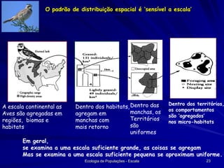 O padrão de distribuição espacial é ‘sensível a escala’

A escala continental as
Aves são agregadas em
regiões, biomas e
habitats

Dentro dos habitats, Dentro das
manchas, os
agregam em
Territórios
manchas com
são
mais retorno
uniformes

Dentro dos territórios,
os comportamentos
são ‘agregados’
nos micro-habitats

Em geral,
se examina a uma escala suficiente grande, as coisas se agregam
Mas se examina a uma escala suficiente pequena se aproximam uniforme.
Ecologia de Populações - Escala

23

 