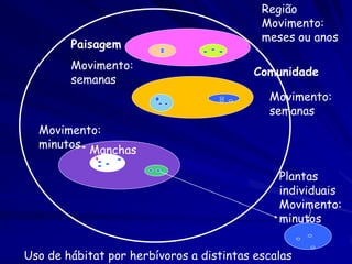 Paisagem
Movimento:
semanas

Região
Movimento:
meses ou anos
Comunidade
Movimento:
semanas

Movimento:
minutos Manchas
Plantas
individuais
Movimento:
minutos
Uso de hábitat por herbívoros a distintas escalas

 