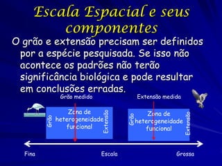 Escala Espacial e seus
componentes

O grão e extensão precisam ser definidos
por a espécie pesquisada. Se isso não
acontece os padrões não terão
significância biológica e pode resultar
em conclusões erradas.

Fina

Escala

Zona de
heterogeneidade
funcional

Grão

Zona de
heterogeneidade
funcional

Extensão

Extensão medida

Extensão

Grão

Grão medido

Grossa

 