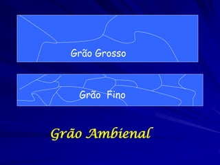 Grão Grosso

Grão Fino

Grão Ambienal

 