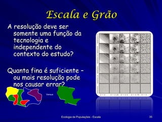 Escala e Grão
A resolução deve ser
somente uma função da
tecnologia e
independente do
contexto do estudo?
Quanta fina é suficiente –
ou mais resolução pode
nos causar errar?
Versus

Ecologia de Populações - Escala

35

 