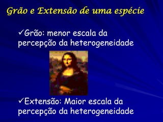 Grão e Extensão de uma espécie
Grão: menor escala da
percepção da heterogeneidade

Extensão: Maior escala da
percepção da heterogeneidade

 