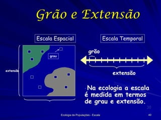 Grão e Extensão
Escala Espacial

Escala Temporal
grão

grau

extensão

extensão
• Na

ecologia a escala
é medida em termos
de grau e extensão.
30
Ecologia de Populações - Escala

40

 