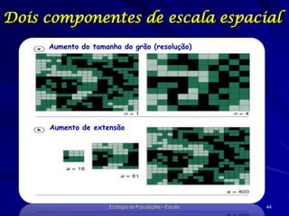 Dois componentes de escala espacial
Aumento do tamanho do grão (resolução)

Aumento de extensão

Ecologia de Populações - Escala

44

 