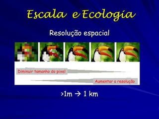 Escala e Ecologia
Resolução espacial

Diminuir tamanho do pixel
Aumentar a resolução

>1m  1 km

 