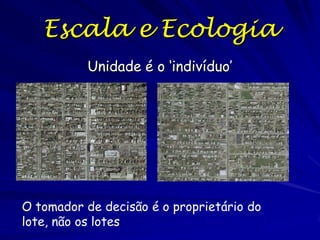 Escala e Ecologia
Unidade é o ‘indivíduo’

O tomador de decisão é o proprietário do
lote, não os lotes

 
