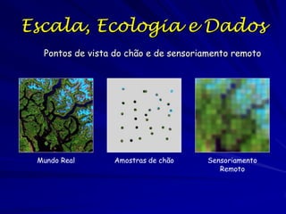 Escala, Ecologia e Dados
Pontos de vista do chão e de sensoriamento remoto

Mundo Real

Amostras de chão

Sensoriamento
Remoto

 