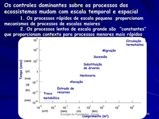 Os controles dominantes sobre os processos dos
ecossistemas mudam com escala temporal e espacial
1. Os processos rápidos de escala pequena proporcionam
mecanismos de processos de escalas maiores
2. Os processos lentos de escala grande são “constantes”
que proporcionam contexto para processos menores mais rápidos
Circulação
termohalina

Migração
Tempo (anos)

Sucessão
Substituição
de árvores
Herbivoria
Alocação
Entrada de
recursos

Troca
metabólica

Ecologia de Populações - Escala

Comprimento (m2)

65

 