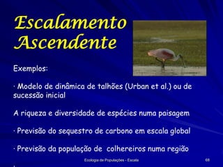 Escalamento
Ascendente
Exemplos:
· Modelo de dinâmica de talhões (Urban et al.) ou de
sucessão inicial
A riqueza e diversidade de espécies numa paisagem
· Previsão do sequestro de carbono em escala global
· Previsão da população de colhereiros numa região
Ecologia de Populações - Escala

68

 