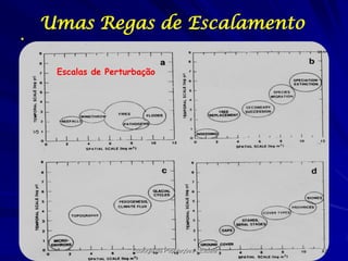 

Umas Regas de Escalamento
Escalas de Perturbação

Ecologia de Populações - Escala

72

 
