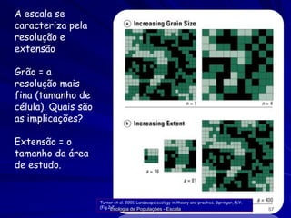 A escala se
caracteriza pela
resolução e
extensão
Grão = a
resolução mais
fina (tamanho de
célula). Quais são
as implicações?
Extensão = o
tamanho da área
de estudo.

Turner et al. 2001. Landscape ecology in theory and practice. Springer, N.Y.
(Fig.2.2)
Ecologia de Populações - Escala

87

 
